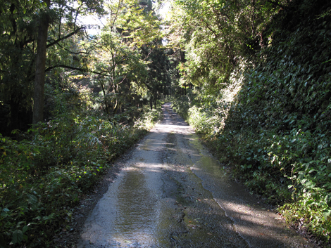 20171026hike (6)